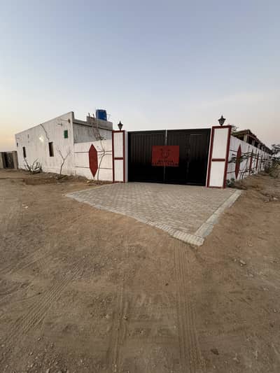 Cattle farm for sale