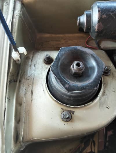 Caltus 2003 full genuine