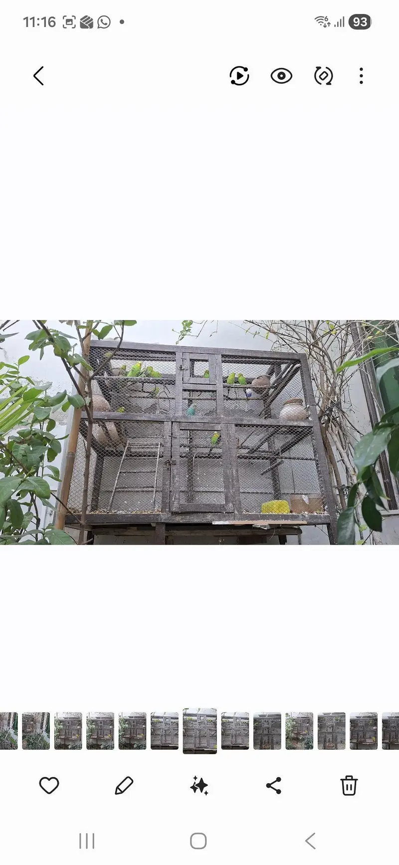15 + Healthy australian parrots with large wooden cage & accessories — photo 3