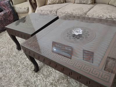 7 seater sofa n center tables