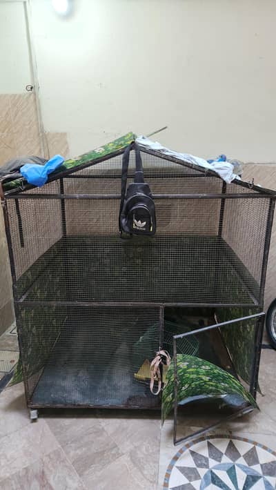 dog cage 6/12 ka hai