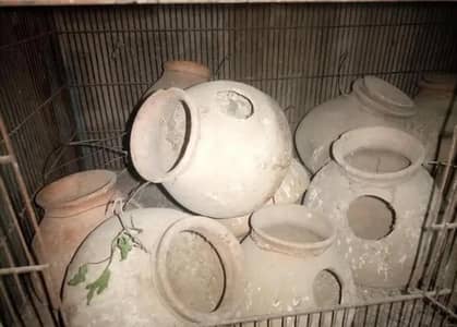 . . . . . . . . . . . .