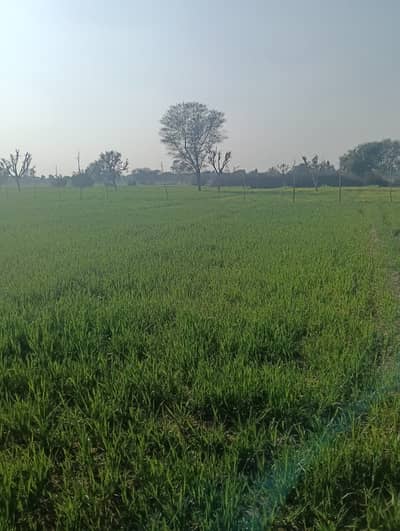 Agricultural Land For Sale In Multan Bypass