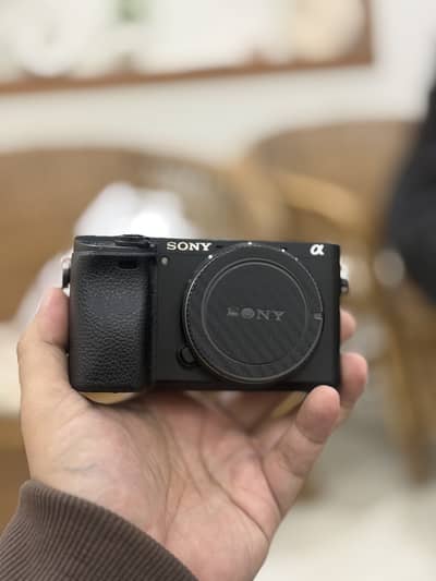 Sony a6400 mirrorless camera with 16-50mm kit lens with Weebil S