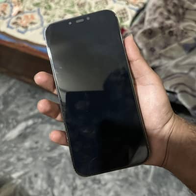 13 Pro Max 256 GB JV