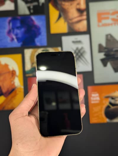 Iphone 14 Pro Max Golden color 256GB Physical+Esim Condition 10/9.5