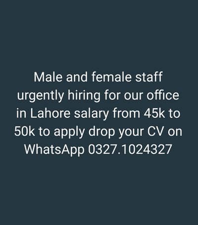 Male and female staff for office data management and files handling.