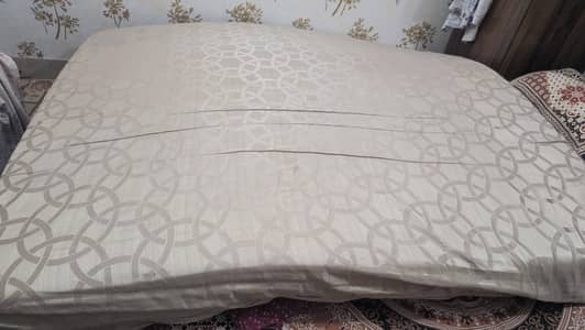 master molty foam 6inch