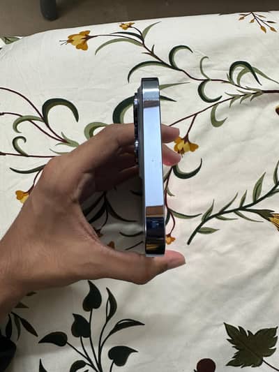 Iphone 13 pro max 256gb