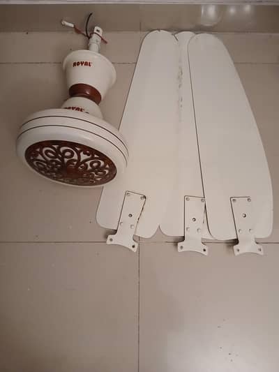 Royal Ceiling Fan