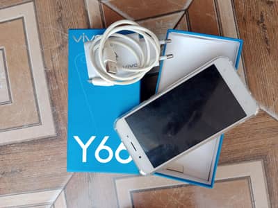 vivo y66
