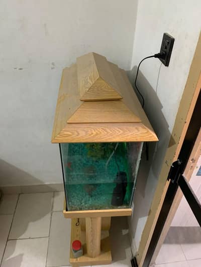 Aquarium with 5  fishes for sell