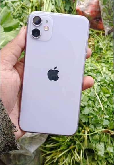 Battery and display change