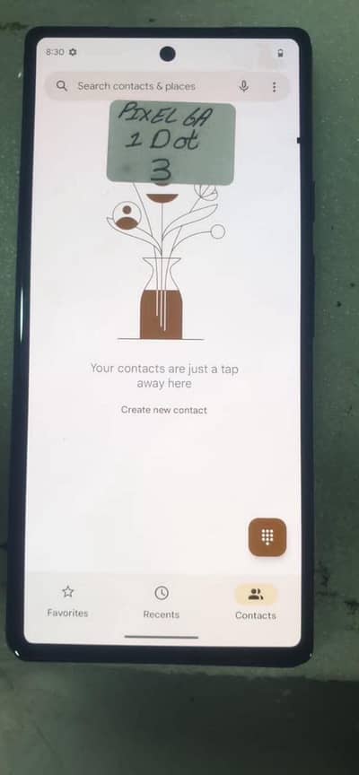 Pin Dot Pixel 6A panel Original