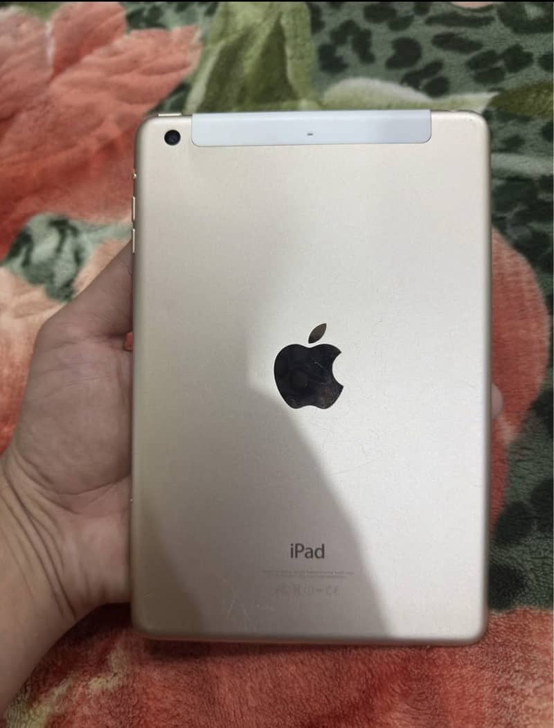 Ipad mini 3 1