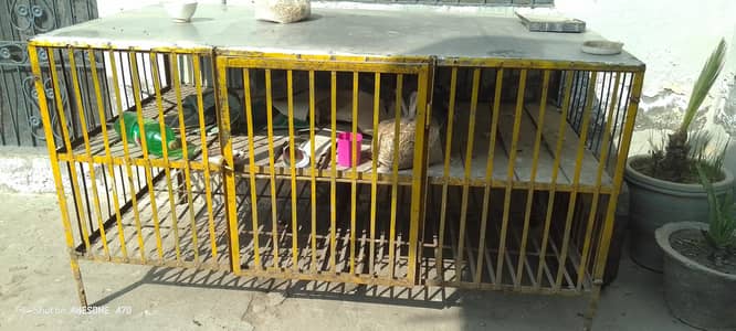 counter cage chikan shop