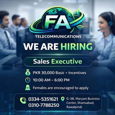 Sales Executive
