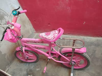Barbie Theme Girl’s bicycle for Sale– Loaded with Extras!
