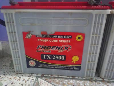 Phoenix TX2500 batteries 220amp for sale