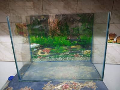2*2 fish aquarium for sale with motor