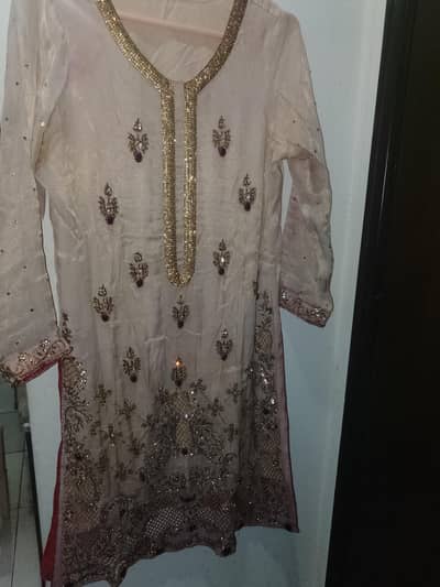 Embroidered Organza Fancy Dress