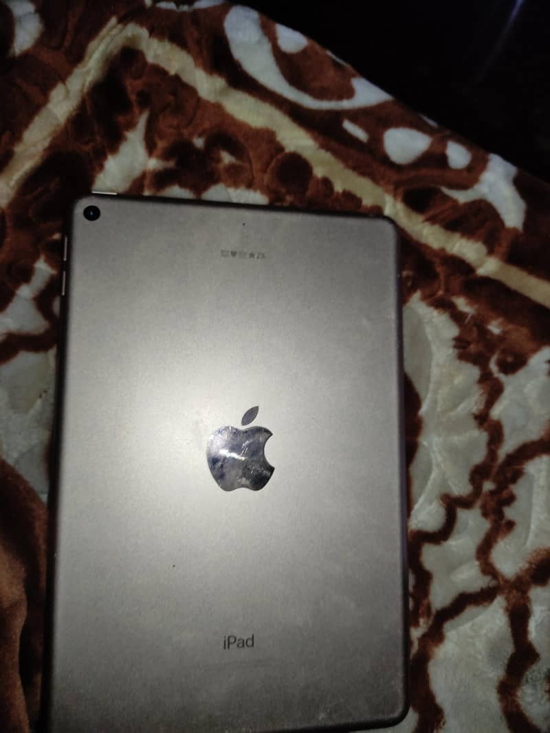 iPad mini 5 1