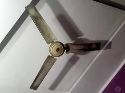 ciling fan