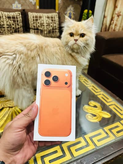 iphone 17 pro  256 gb lla model box pack non active Bought from Dubai