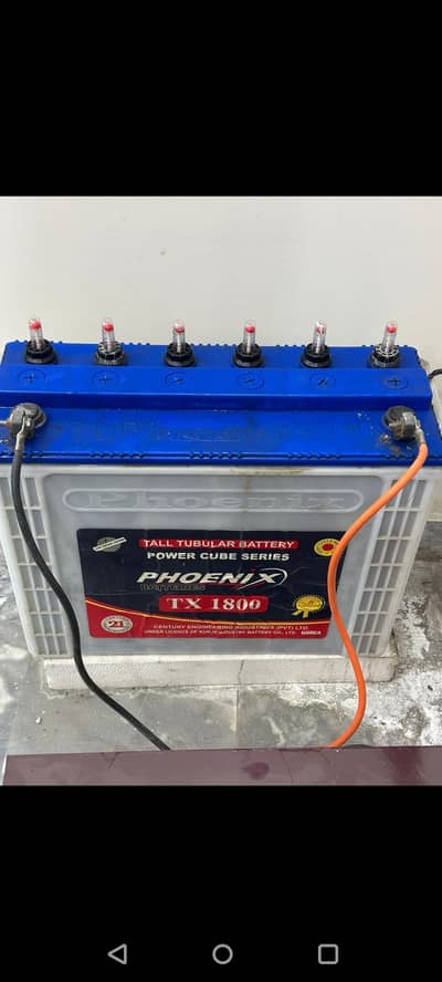 Phoenix Tubular Battery