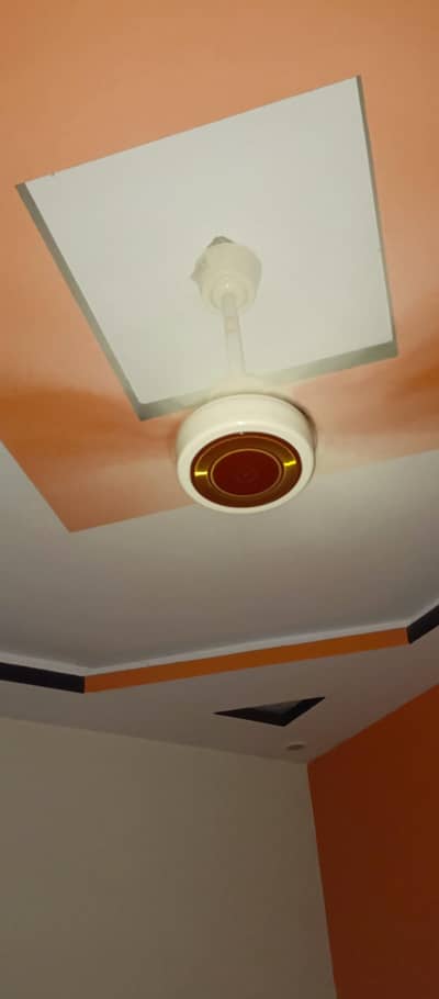 pak fan vip condition chalty hui