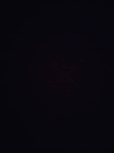 security guard arm forces