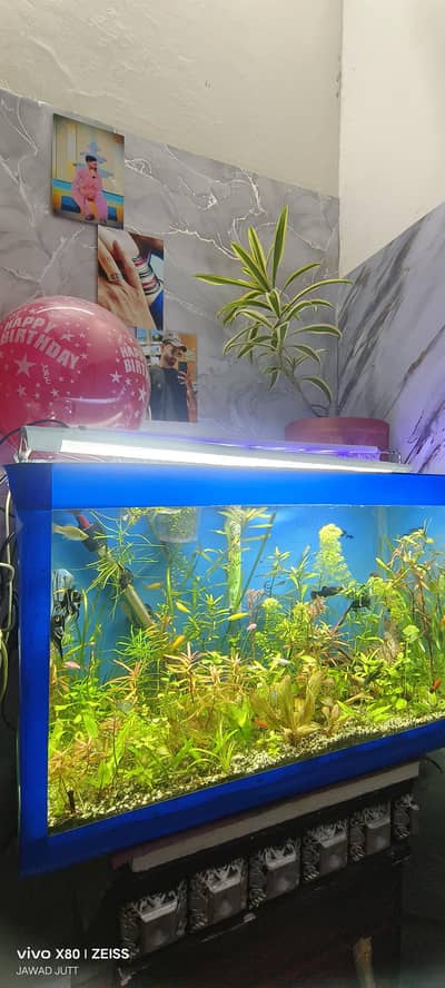 plants aquarium for sale base Glass 14 MM side base 12 MM very strong