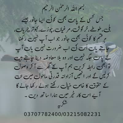 Abi rabta Karin 03707782400