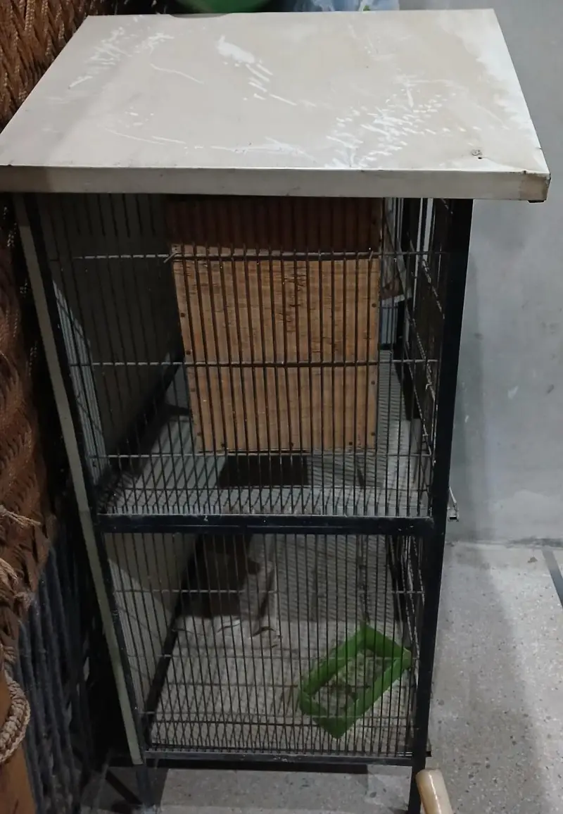 cage for birds — photo 2