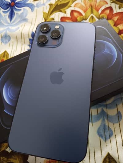 12 pro max 256 Gb 10/10 lush Condition