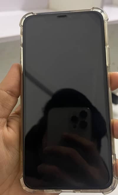 Apple iPhone 11 Pro Max