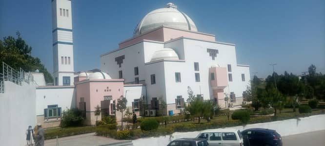  Professional House & Office Paint Service | Islamabad & RWP