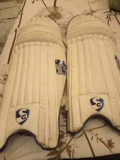cricket pads