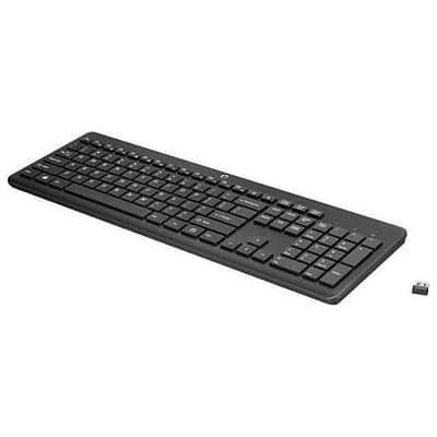 HP WIRELESS KEYBOARD (with dongle )