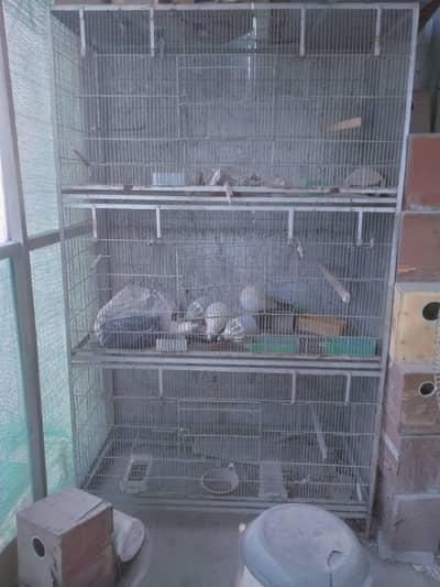 All cages for sale