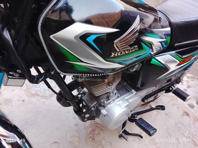 lush condition alll documents clear