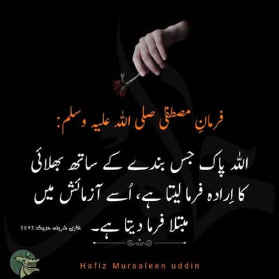 offline quran online Quran