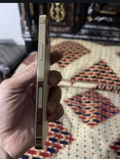 I phone 12 pro only mobile