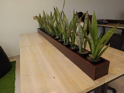 Workstations for sale