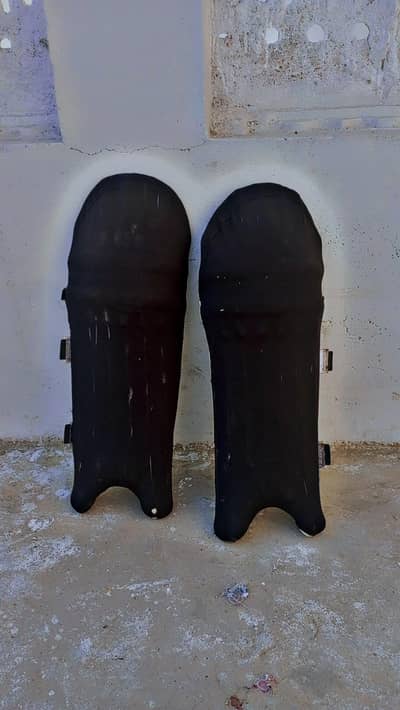 cricket pad for sale