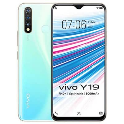 vivo y19