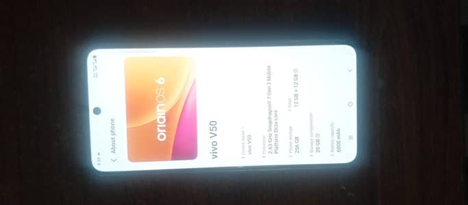 vivo v50 12/256 10/10 condition