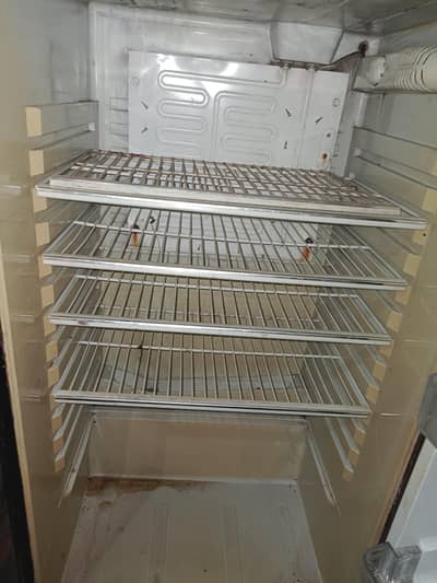 Large Size Farig Urgent Sale