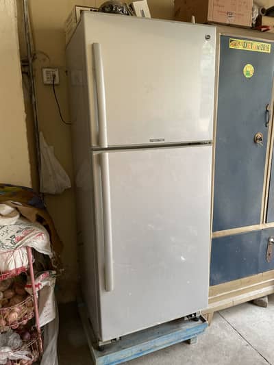 Pel Arctic Fridge Full Size