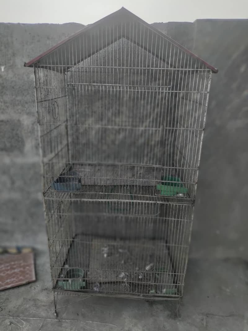 cages 4